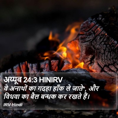 अय्यूब 24:3 HINIRV Bible Verse Image