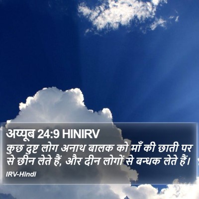 अय्यूब 24:9 HINIRV Bible Verse Image