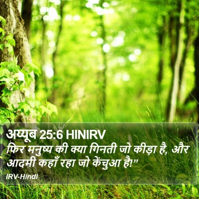 अय्यूब 25:6 HINIRV Bible Verse Image