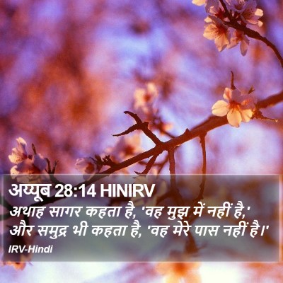 अय्यूब 28:14 HINIRV Bible Verse Image