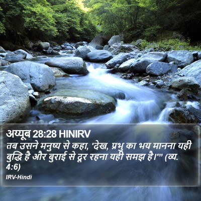 अय्यूब 28:28 HINIRV Bible Verse Image