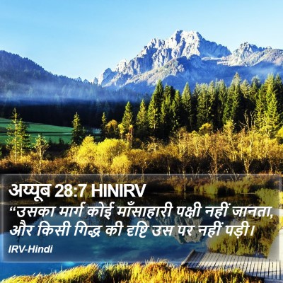 अय्यूब 28:7 HINIRV Bible Verse Image