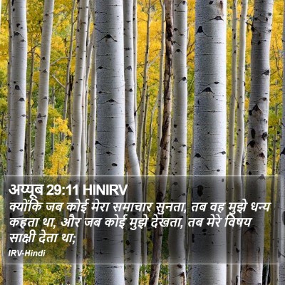 अय्यूब 29:11 HINIRV Bible Verse Image