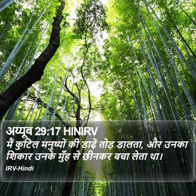 अय्यूब 29:17 HINIRV Bible Verse Image