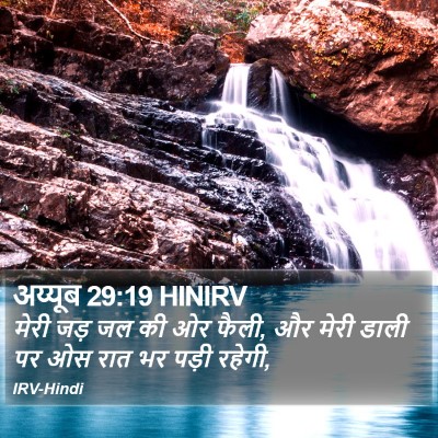 अय्यूब 29:19 HINIRV Bible Verse Image
