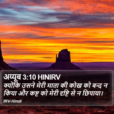अय्यूब 3:10 HINIRV Bible Verse Image