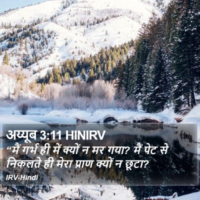 अय्यूब 3:11 HINIRV Bible Verse Image