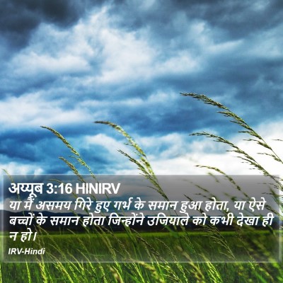 अय्यूब 3:16 HINIRV Bible Verse Image