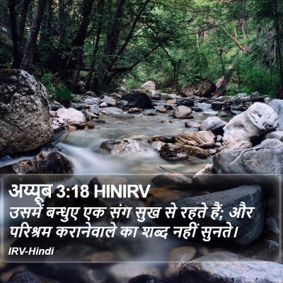अय्यूब 3:18 HINIRV Bible Verse Image