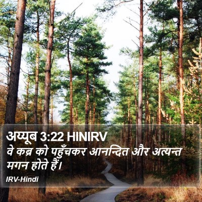 अय्यूब 3:22 HINIRV Bible Verse Image