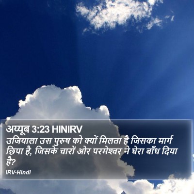 अय्यूब 3:23 HINIRV Bible Verse Image