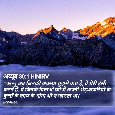 अय्यूब 30:1 HINIRV Bible Verse Image