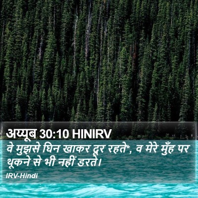 अय्यूब 30:10 HINIRV Bible Verse Image