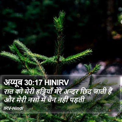 अय्यूब 30:17 HINIRV Bible Verse Image