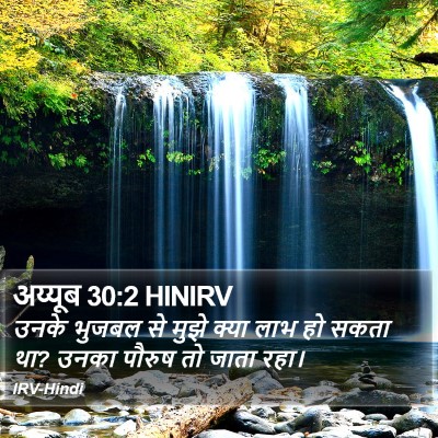 अय्यूब 30:2 HINIRV Bible Verse Image