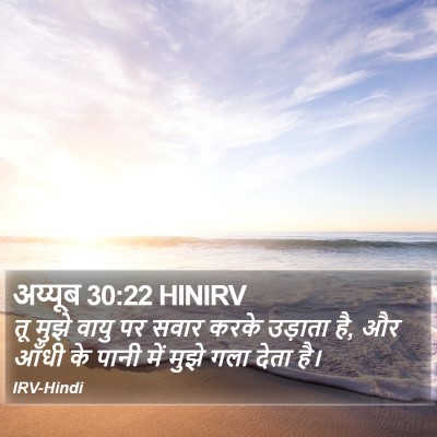 अय्यूब 30:22 HINIRV Bible Verse Image