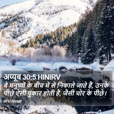 अय्यूब 30:5 HINIRV Bible Verse Image