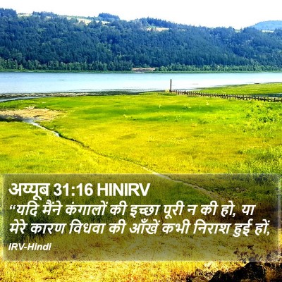 अय्यूब 31:16 HINIRV Bible Verse Image