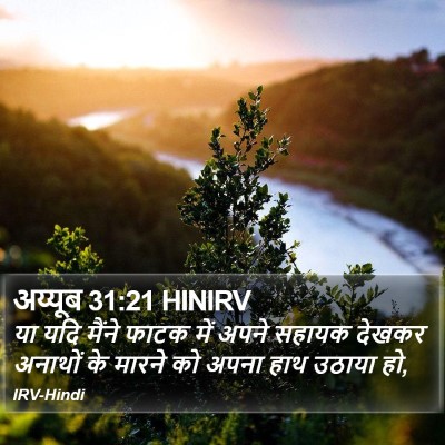 अय्यूब 31:21 HINIRV Bible Verse Image