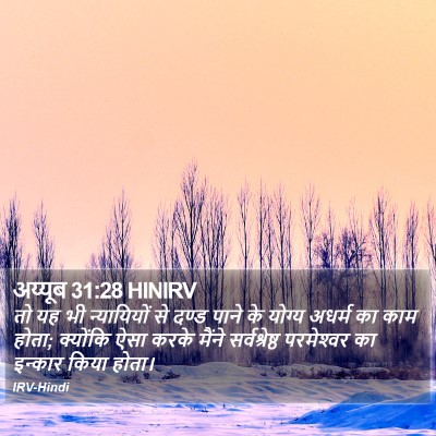 अय्यूब 31:28 HINIRV Bible Verse Image
