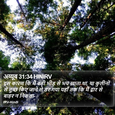 अय्यूब 31:34 HINIRV Bible Verse Image