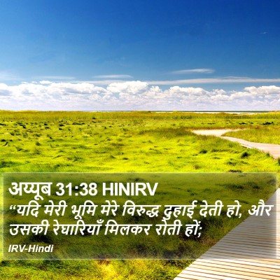 अय्यूब 31:38 HINIRV Bible Verse Image