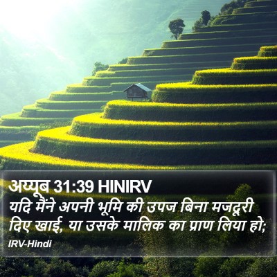 अय्यूब 31:39 HINIRV Bible Verse Image