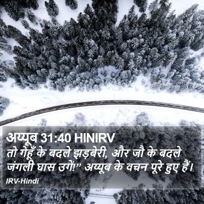 अय्यूब 31:40 HINIRV Bible Verse Image