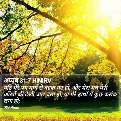 अय्यूब 31:7 HINIRV Bible Verse Image