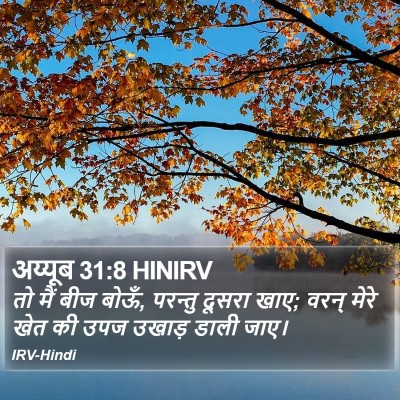 अय्यूब 31:8 HINIRV Bible Verse Image