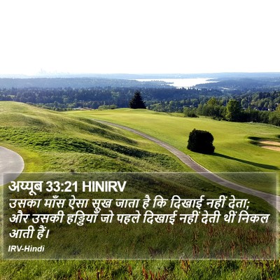 अय्यूब 33:21 HINIRV Bible Verse Image