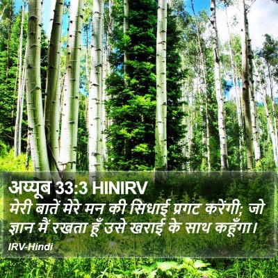अय्यूब 33:3 HINIRV Bible Verse Image