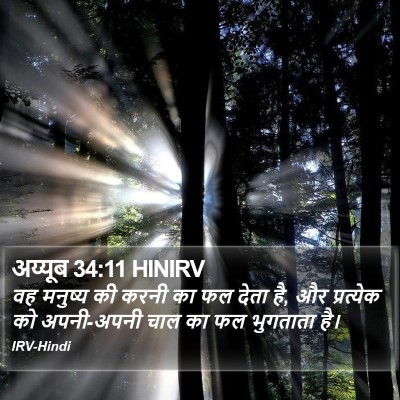 अय्यूब 34:11 HINIRV Bible Verse Image
