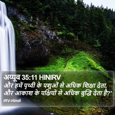 अय्यूब 35:11 HINIRV Bible Verse Image