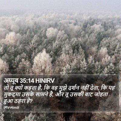 अय्यूब 35:14 HINIRV Bible Verse Image