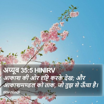 अय्यूब 35:5 HINIRV Bible Verse Image