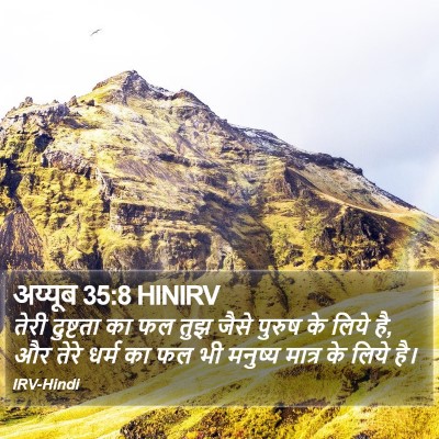 अय्यूब 35:8 HINIRV Bible Verse Image