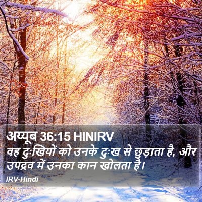 अय्यूब 36:15 HINIRV Bible Verse Image