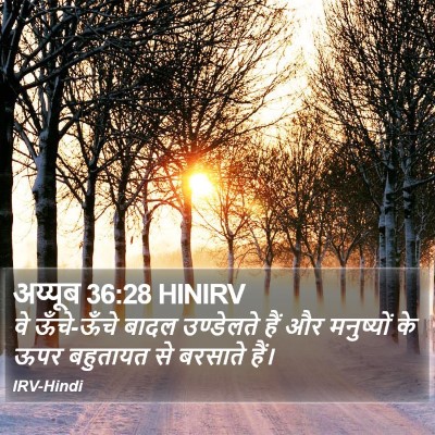 अय्यूब 36:28 HINIRV Bible Verse Image