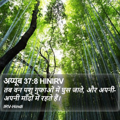 अय्यूब 37:8 HINIRV Bible Verse Image
