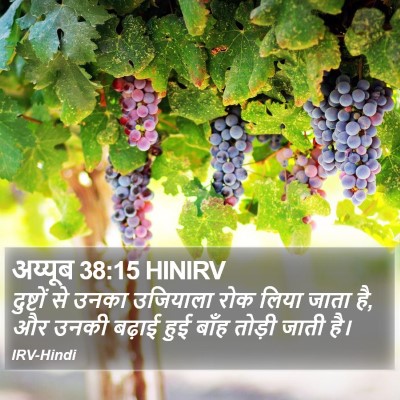 अय्यूब 38:15 HINIRV Bible Verse Image