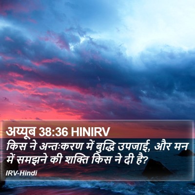 अय्यूब 38:36 HINIRV Bible Verse Image
