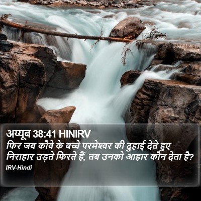 अय्यूब 38:41 HINIRV Bible Verse Image