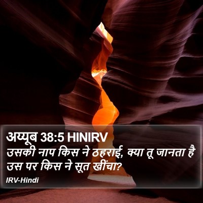 अय्यूब 38:5 HINIRV Bible Verse Image