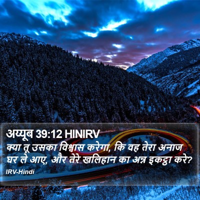 अय्यूब 39:12 HINIRV Bible Verse Image