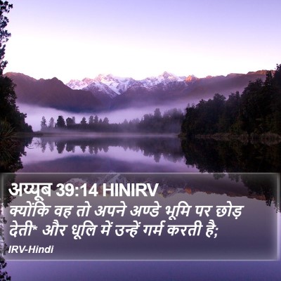 अय्यूब 39:14 HINIRV Bible Verse Image