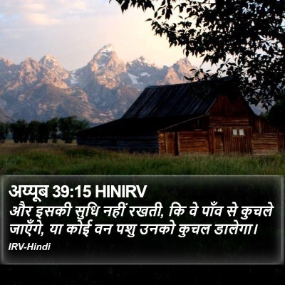 अय्यूब 39:15 HINIRV Bible Verse Image