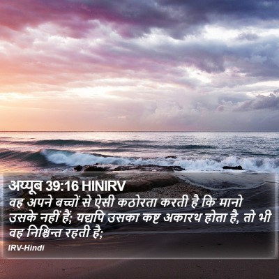 अय्यूब 39:16 HINIRV Bible Verse Image
