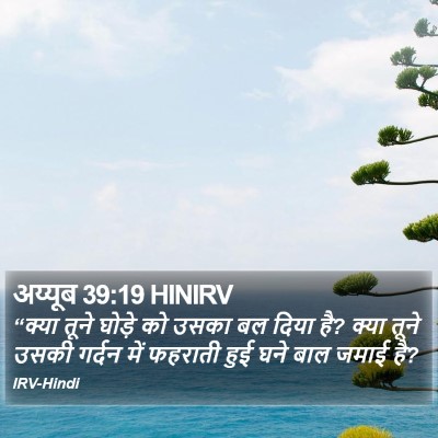 अय्यूब 39:19 HINIRV Bible Verse Image
