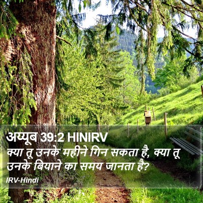 अय्यूब 39:2 HINIRV Bible Verse Image